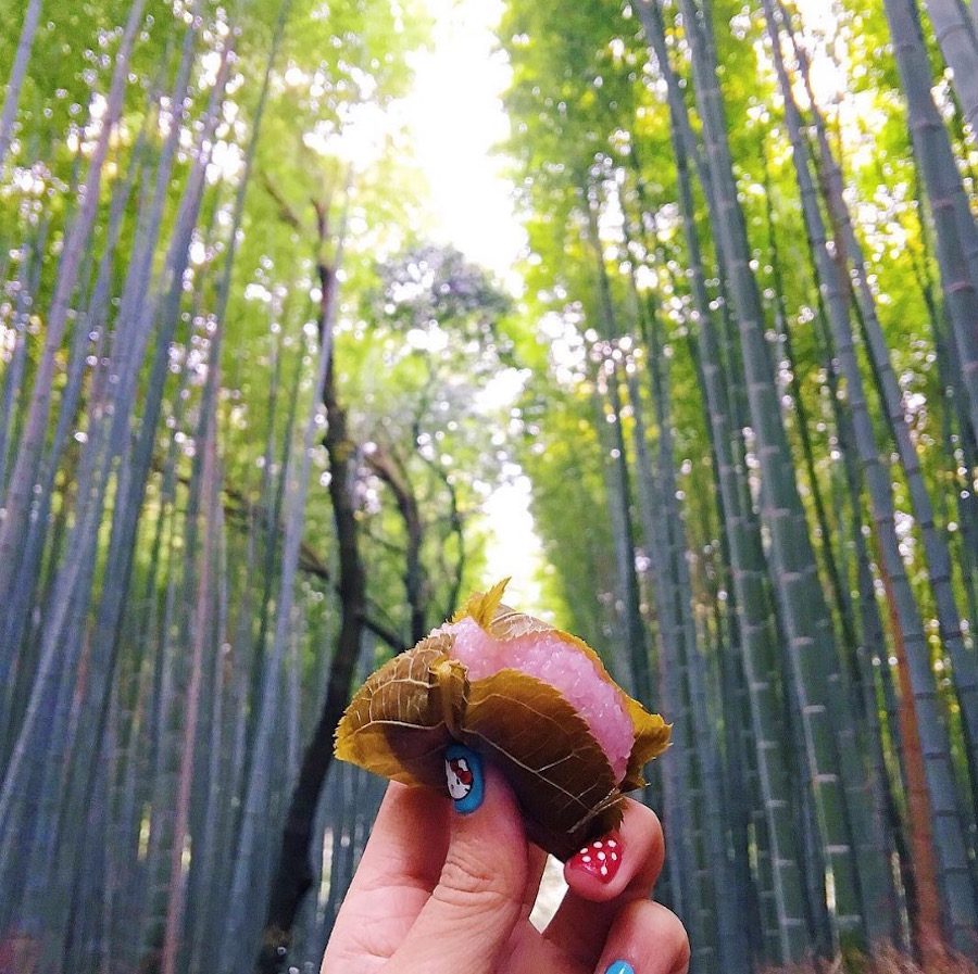 Arashiyama Bamboo Forest