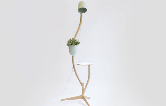 Branch-Out Design