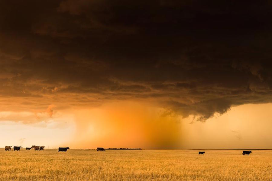 Breathtaking Pictures of Tornados in the U.S.4