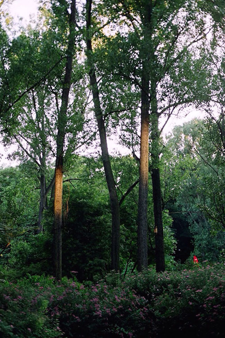 Everyday Photography of Poland by Michal Niemyjski5