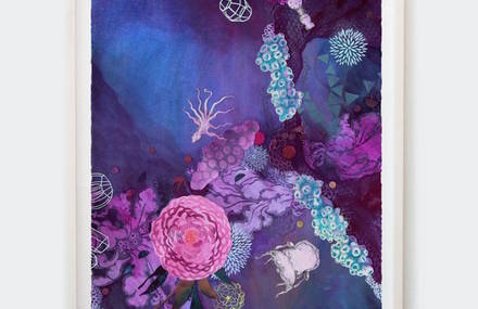 Fauna & Flora Paintings by Lauren Matsumoto