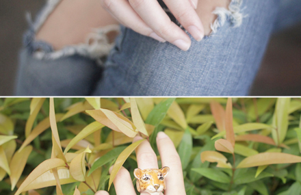 Original and Funny Animal Rings