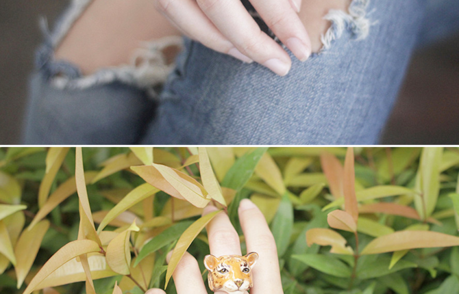 Original and Funny Animal Rings