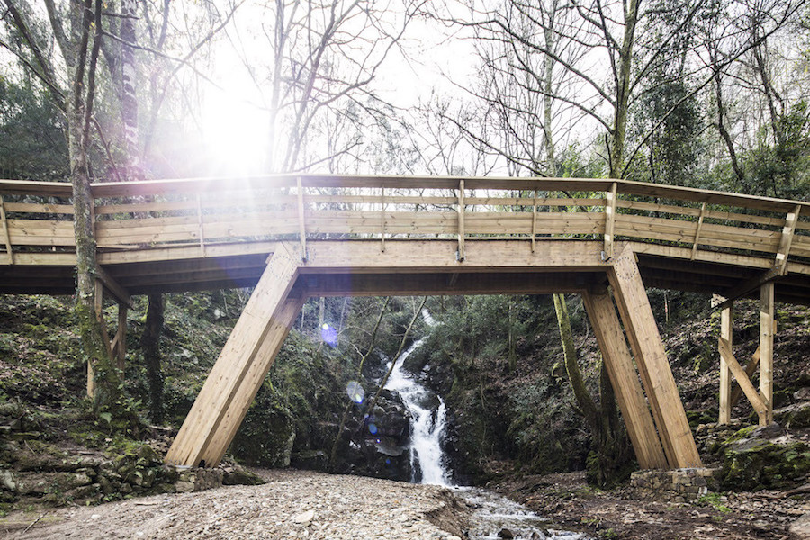 Stunning Wooden Walkway in Portugal12