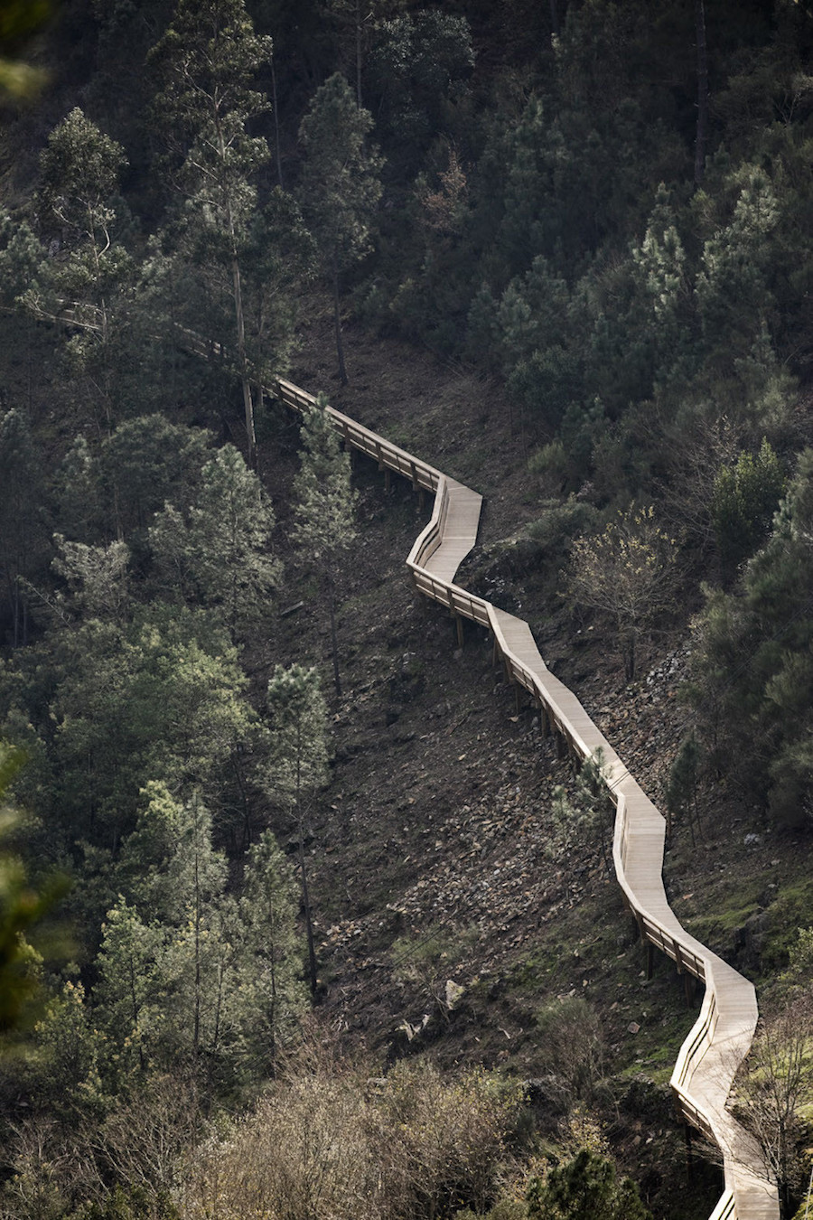 Stunning Wooden Walkway in Portugal15