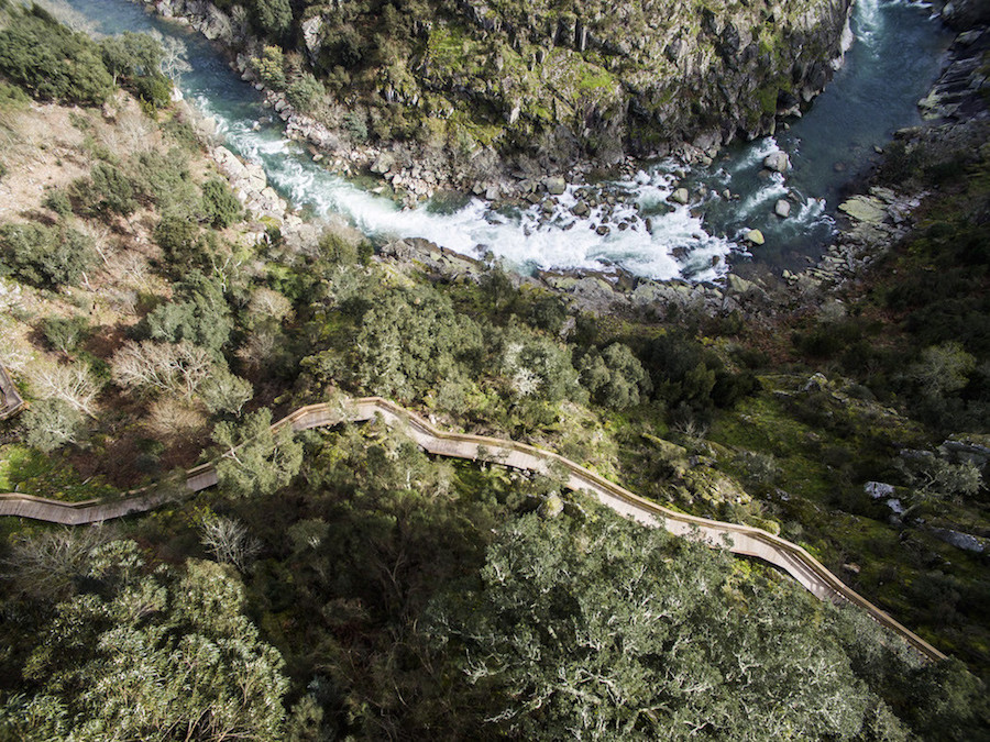 Stunning Wooden Walkway in Portugal5