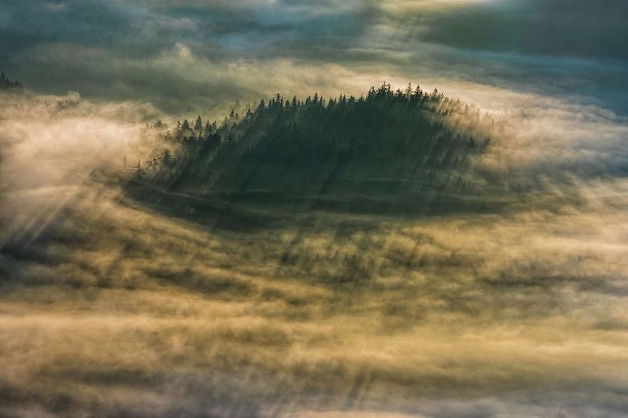 Thrilling and Mysterious Pictures of Slovenian Forests16