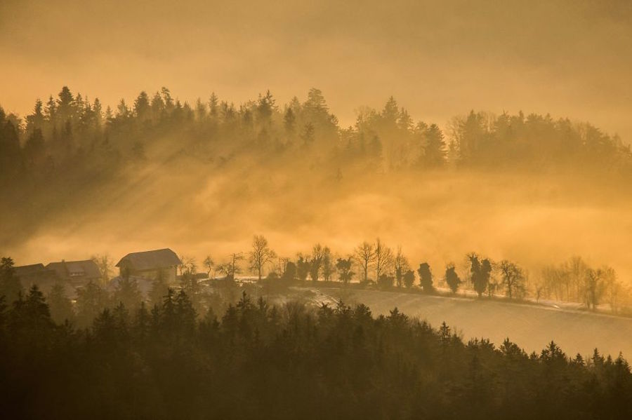 Thrilling and Mysterious Pictures of Slovenian Forests18