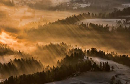 Thrilling and Mysterious Pictures of Slovenian Forests