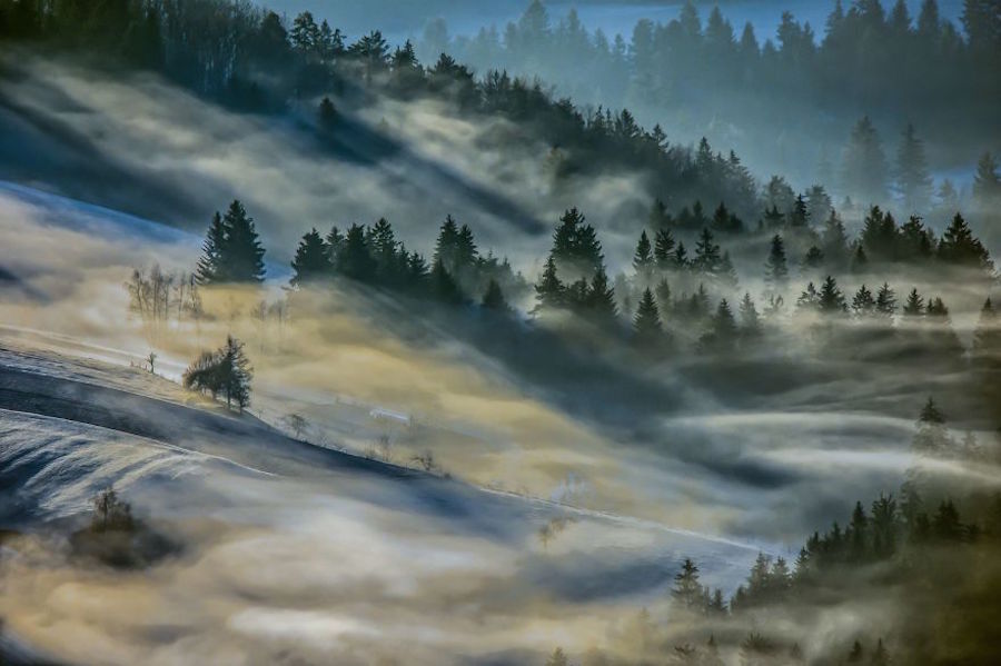 Thrilling and Mysterious Pictures of Slovenian Forests20