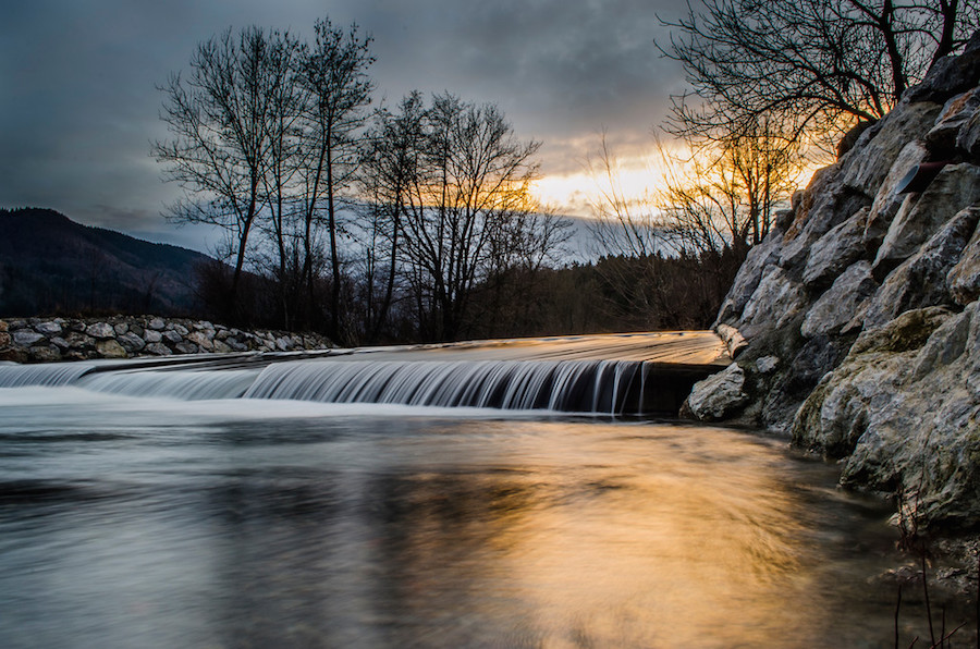 Thrilling and Mysterious Pictures of Slovenian Forests3