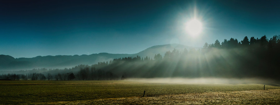 Thrilling and Mysterious Pictures of Slovenian Forests9