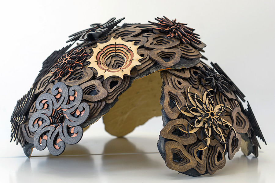 Wooden Spiraling Coral Reefs2
