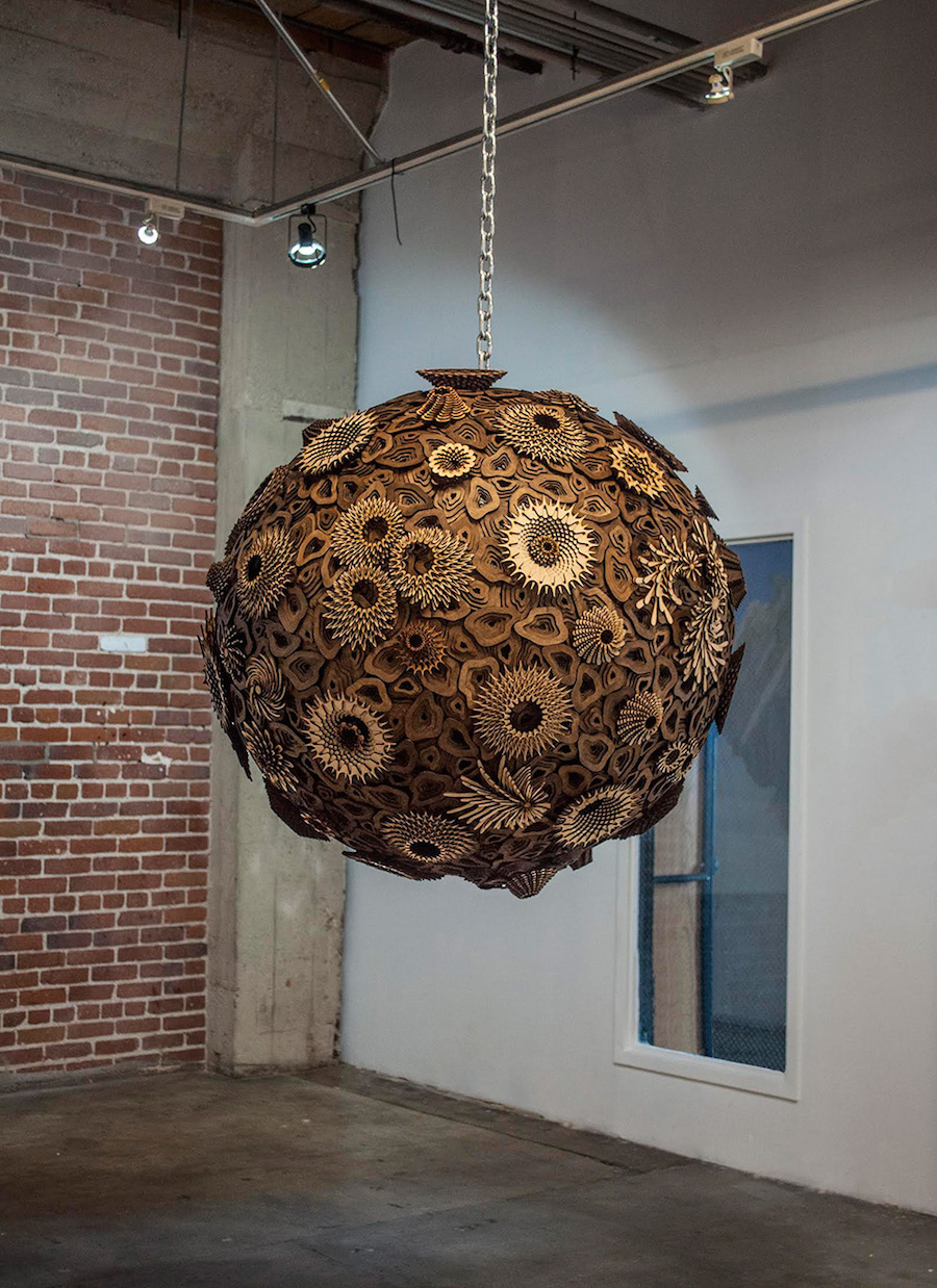 Wooden Spiraling Coral Reefs4