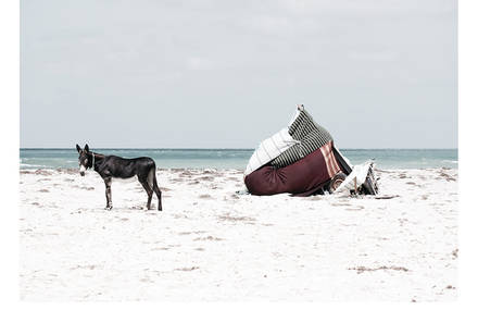 Along Tunisian Beaches