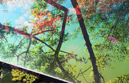 Distorted Artificial & Acid Nature