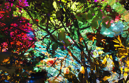Distorted Artificial & Acid Nature