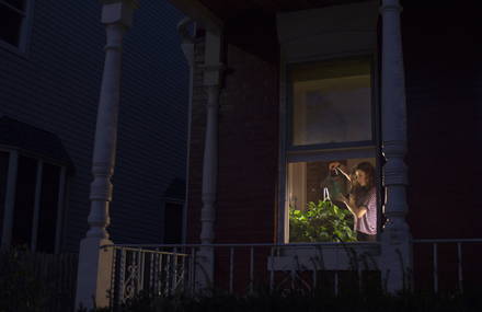 Catching Snippets of Lite Through Windows