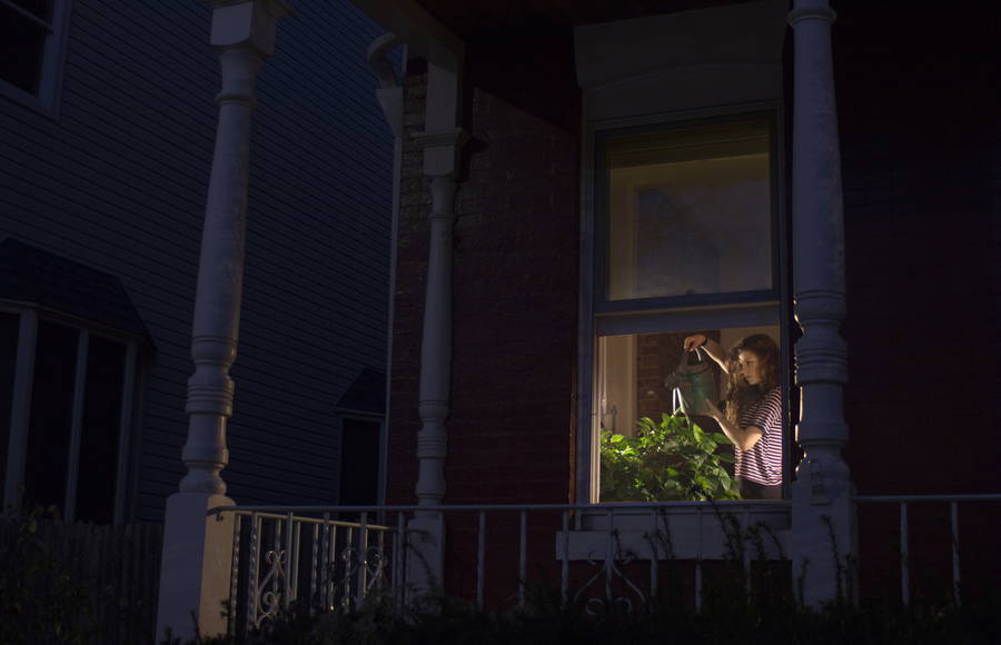 Catching Snippets of Lite Through Windows