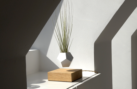 Stunning Flying Geometrical Planters