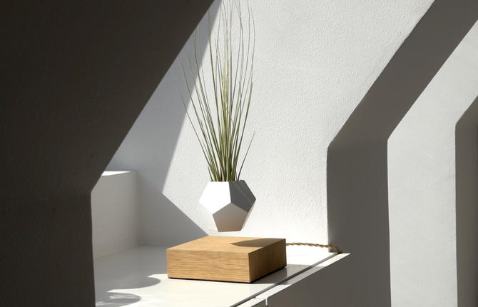 Stunning Flying Geometrical Planters