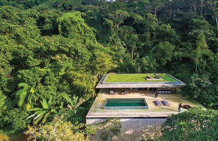 Idyllic Forest Retreat in Sao Paulo