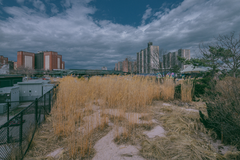 From Coney Island to Brighton Beach, Brooklyn, NY, 2016