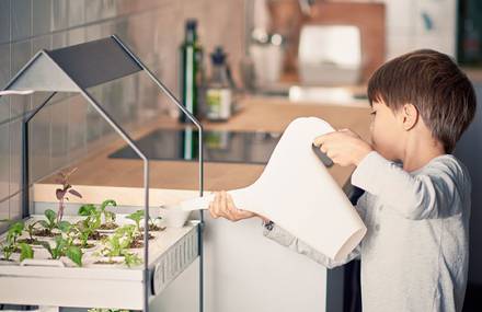 Indoor Gardening Products by Ikea