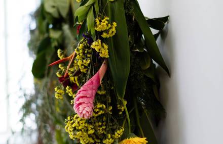 Beautiful Suspended Garden Installation