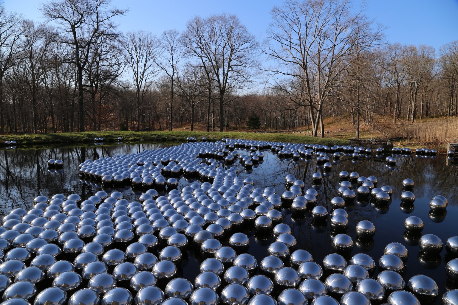 kusama-2