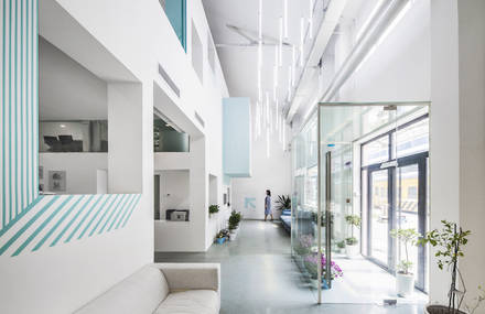 White Blue Botanical Office in Beijing