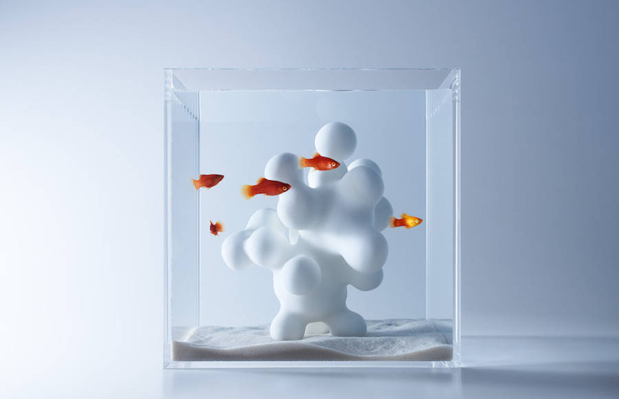 Modern Sculptural Fish Tanks