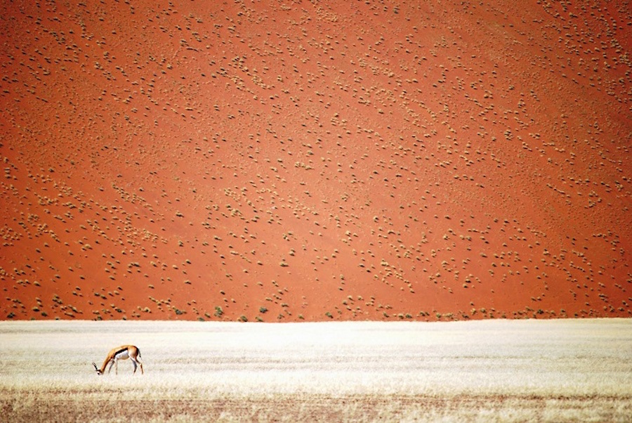 Namibian Desert