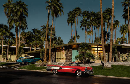 Palm Springs Under the Moonlight