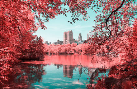 Pink Colored New York City