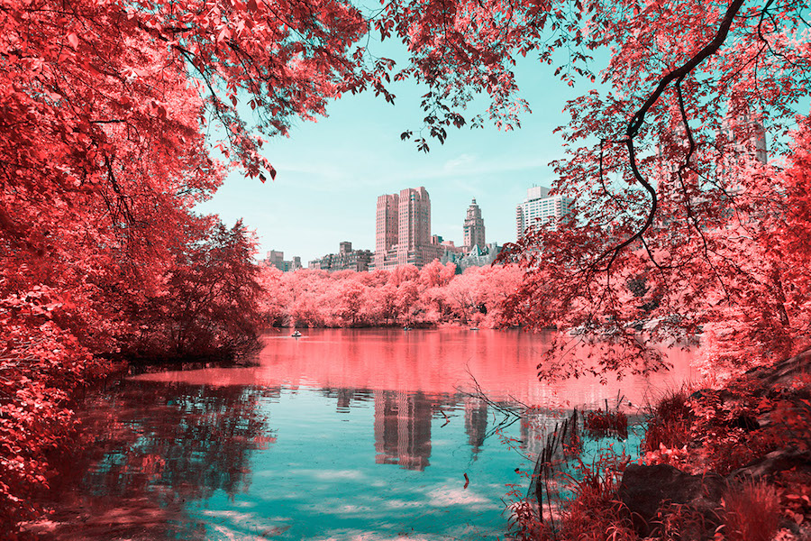 pinkcolorednewyorkcity-0