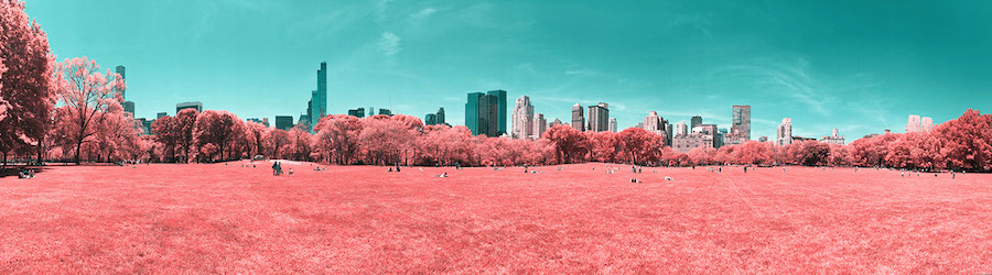 pinkcolorednewyorkcity-1