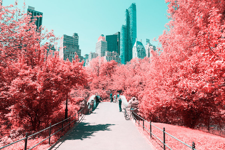 pinkcolorednewyorkcity-7