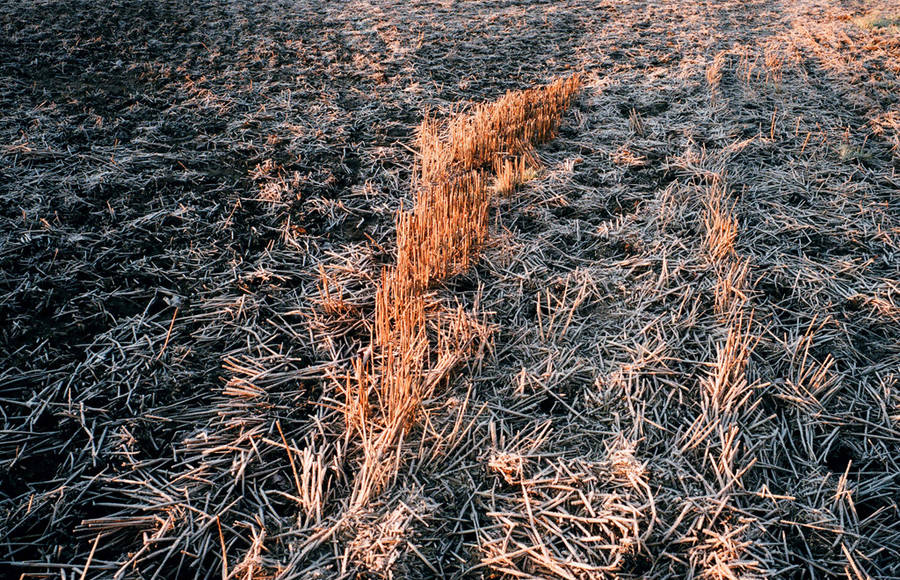 Playing with Sun Light in Photographs