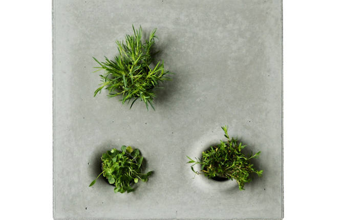 Squares of Concrete Planters
