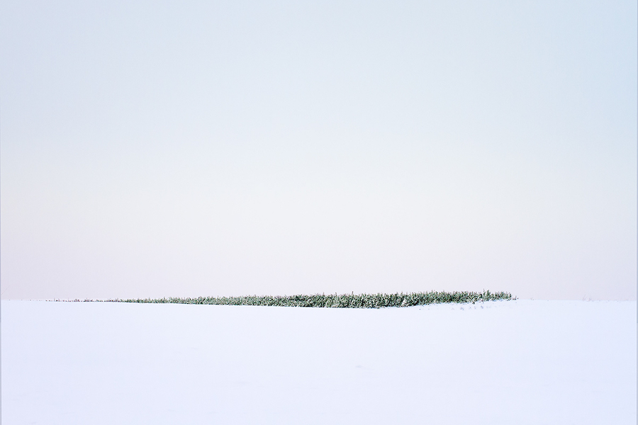 thesilenceofwintrydaysphotography-2