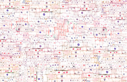Abstract Patterns and Packaging by Miji Lee