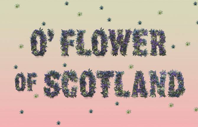 Allegorical Floral Typography for Scotland