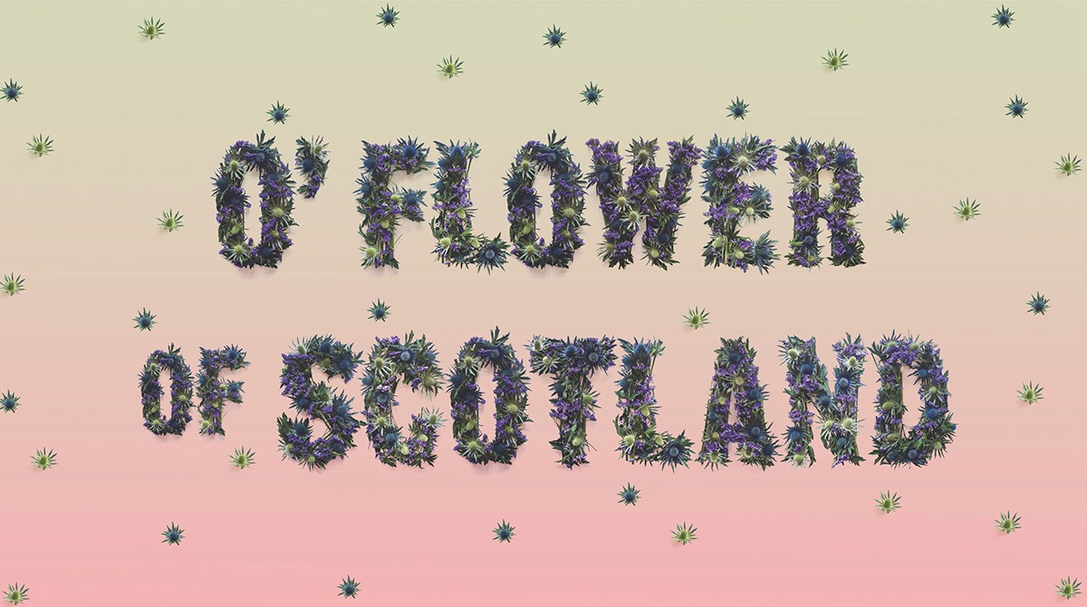 Allegorical-Floral-Alphabet-for Scotland1