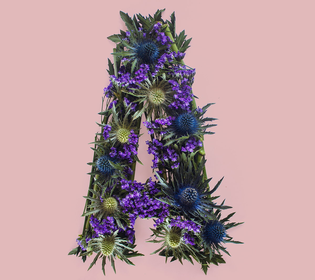 Allegorical-Floral-Alphabet-for Scotland10