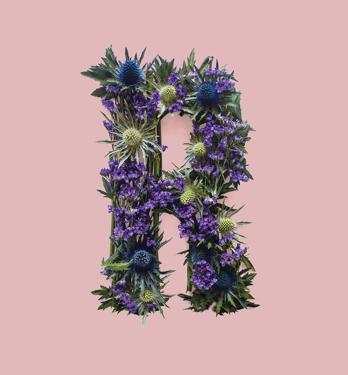 Allegorical-Floral-Alphabet-for Scotland11