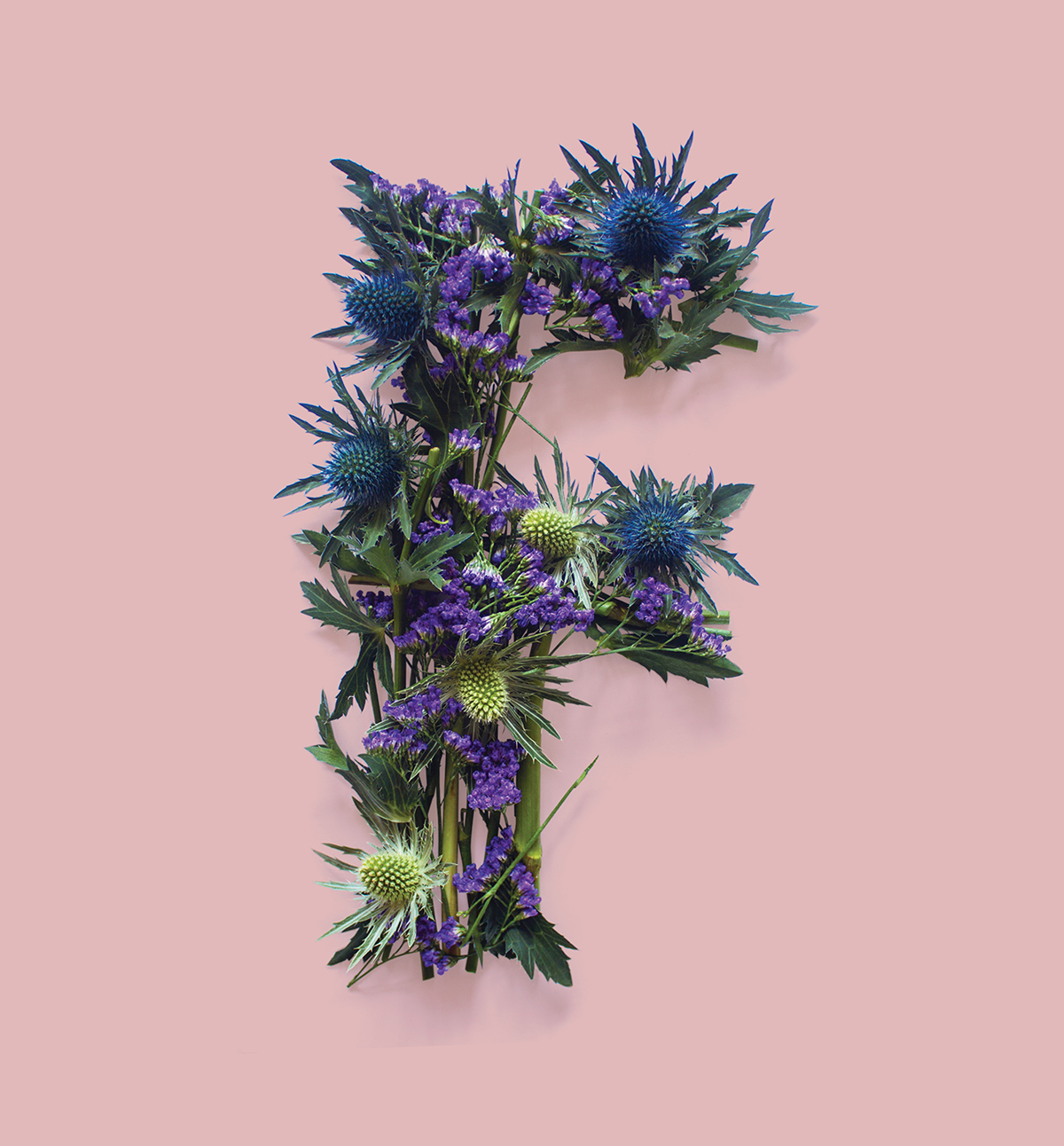 Allegorical-Floral-Alphabet-for Scotland14