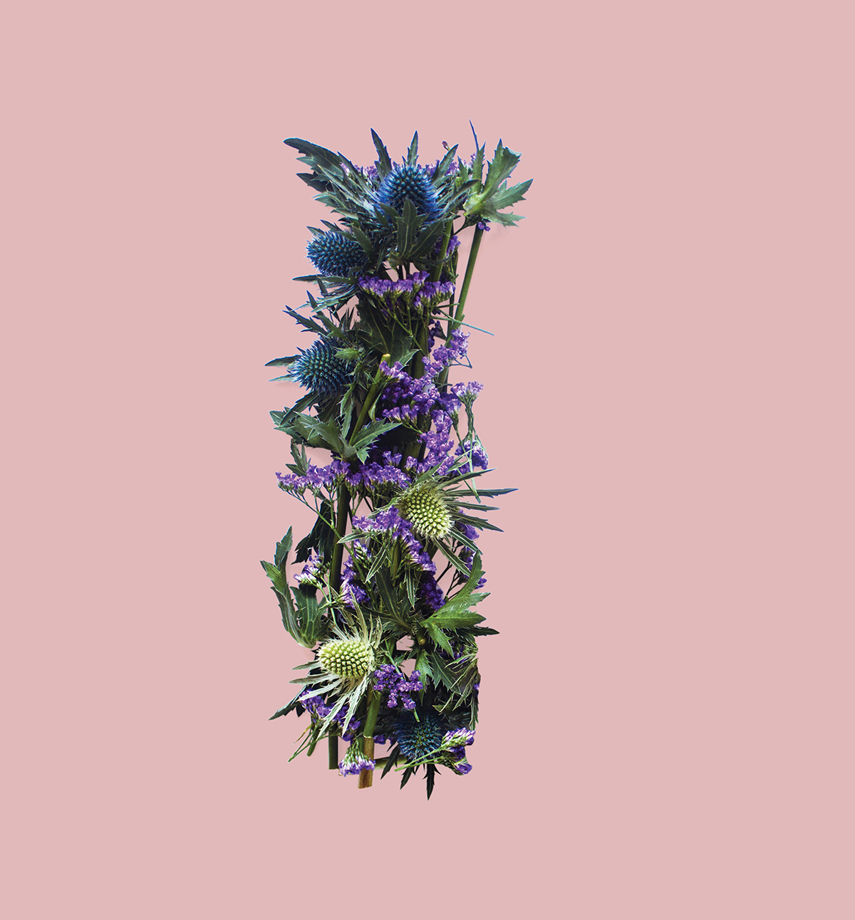 Allegorical-Floral-Alphabet-for Scotland15