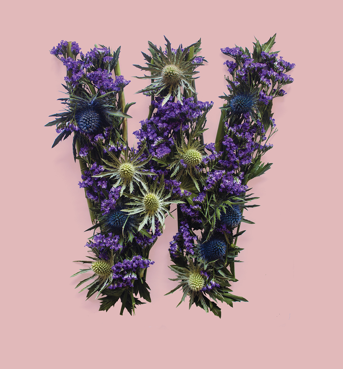 Allegorical-Floral-Alphabet-for Scotland18