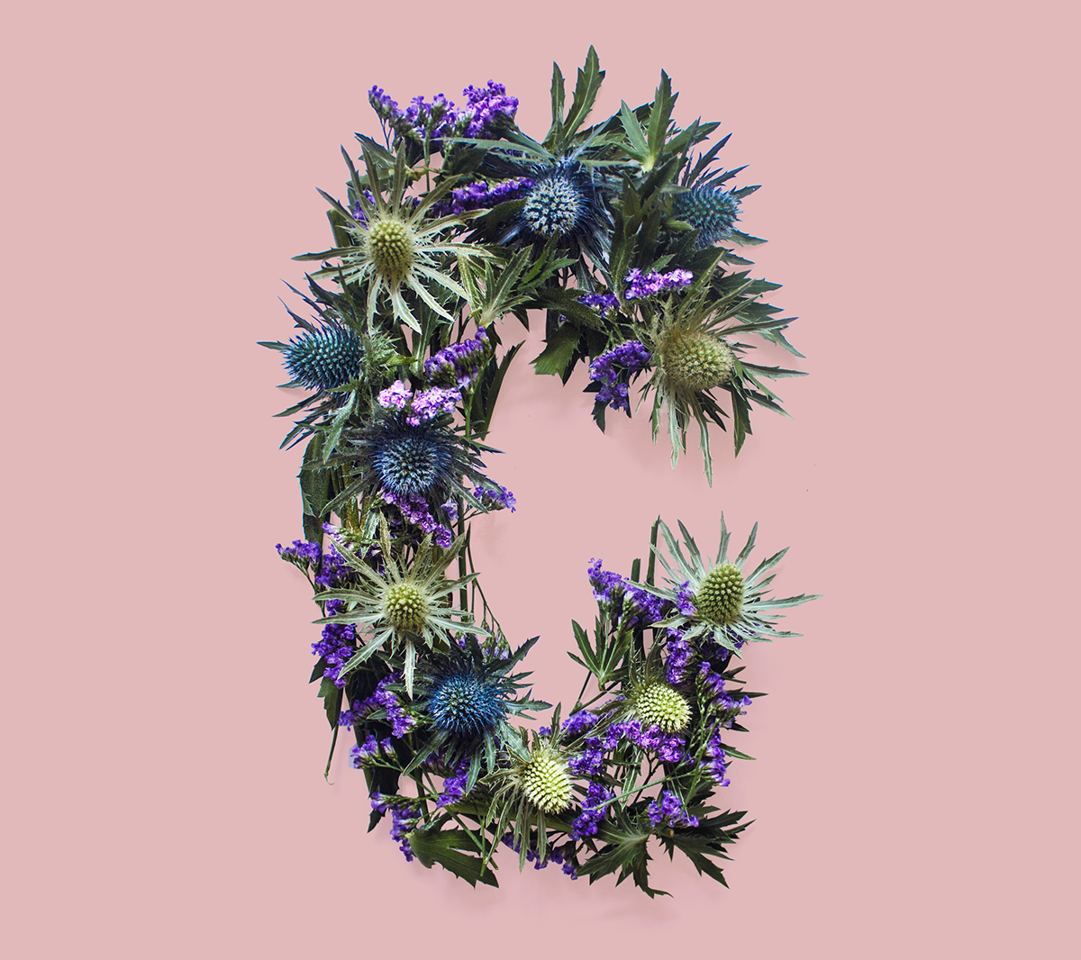 Allegorical-Floral-Alphabet-for Scotland8